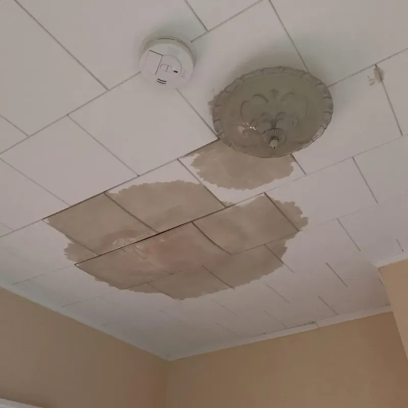 Ceiling Water Damage Repair in Crestline, CA
